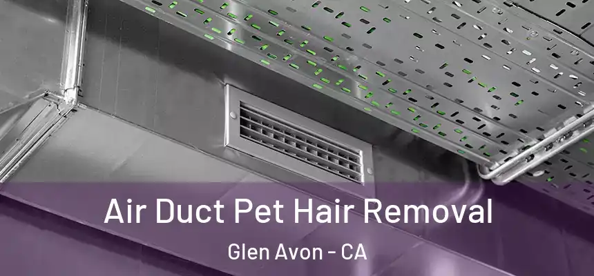  Air Duct Pet Hair Removal Glen Avon - CA