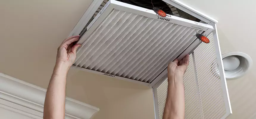 Preventive Cockroach-Proofing for Ducts in Glen Avon