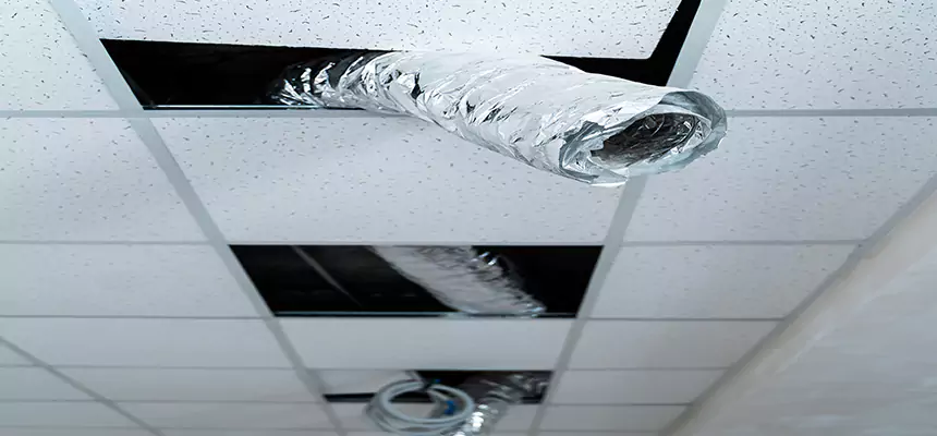 Affordable HVAC Sanitizing After Pest Removal in Glen Avon