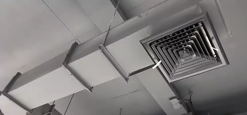 Our Pest Removal From Ducts Services in Glen Avon, CA