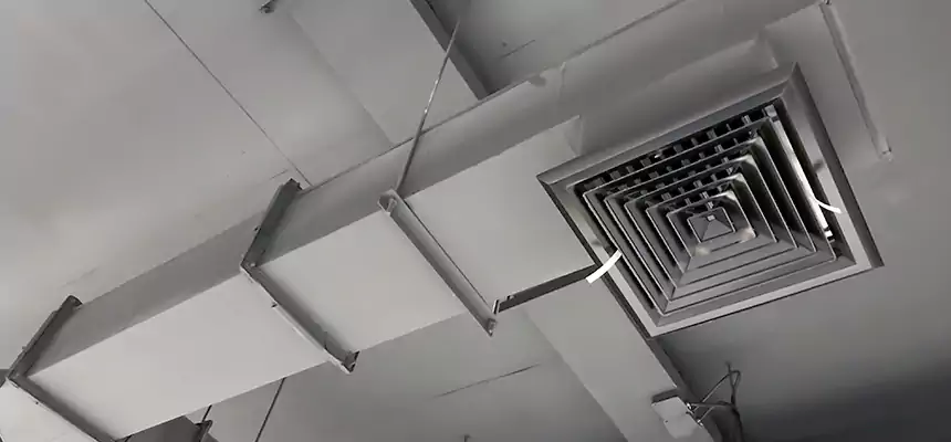 Our Rodent Droppings In Vents Services in Glen Avon, CA