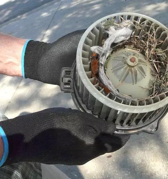 About Air Duct Rat Removal in Glen Avon, CA