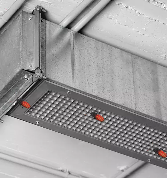 Affordable Insect Removal from Air Ducts in Glen Avon, CA