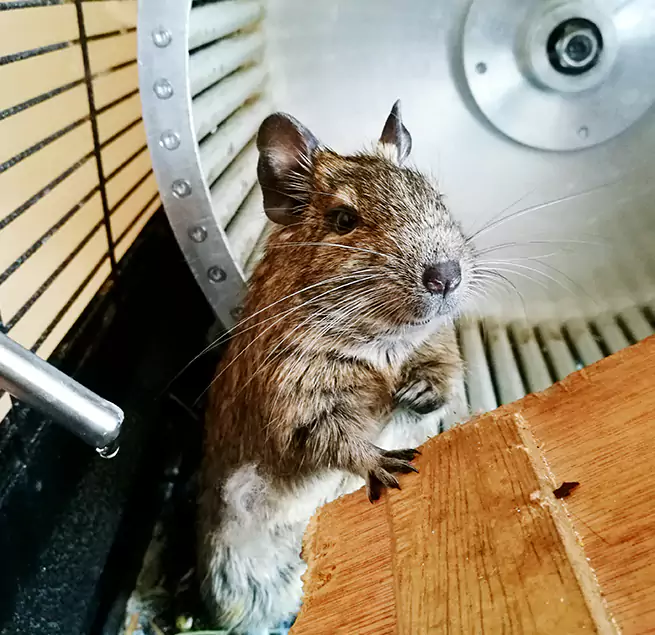 Why Homeowners & Businesses Trust Us Glen Avon, CA?